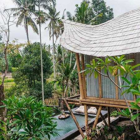 Wadari Retreat Villa Ubud Buitenkant foto
