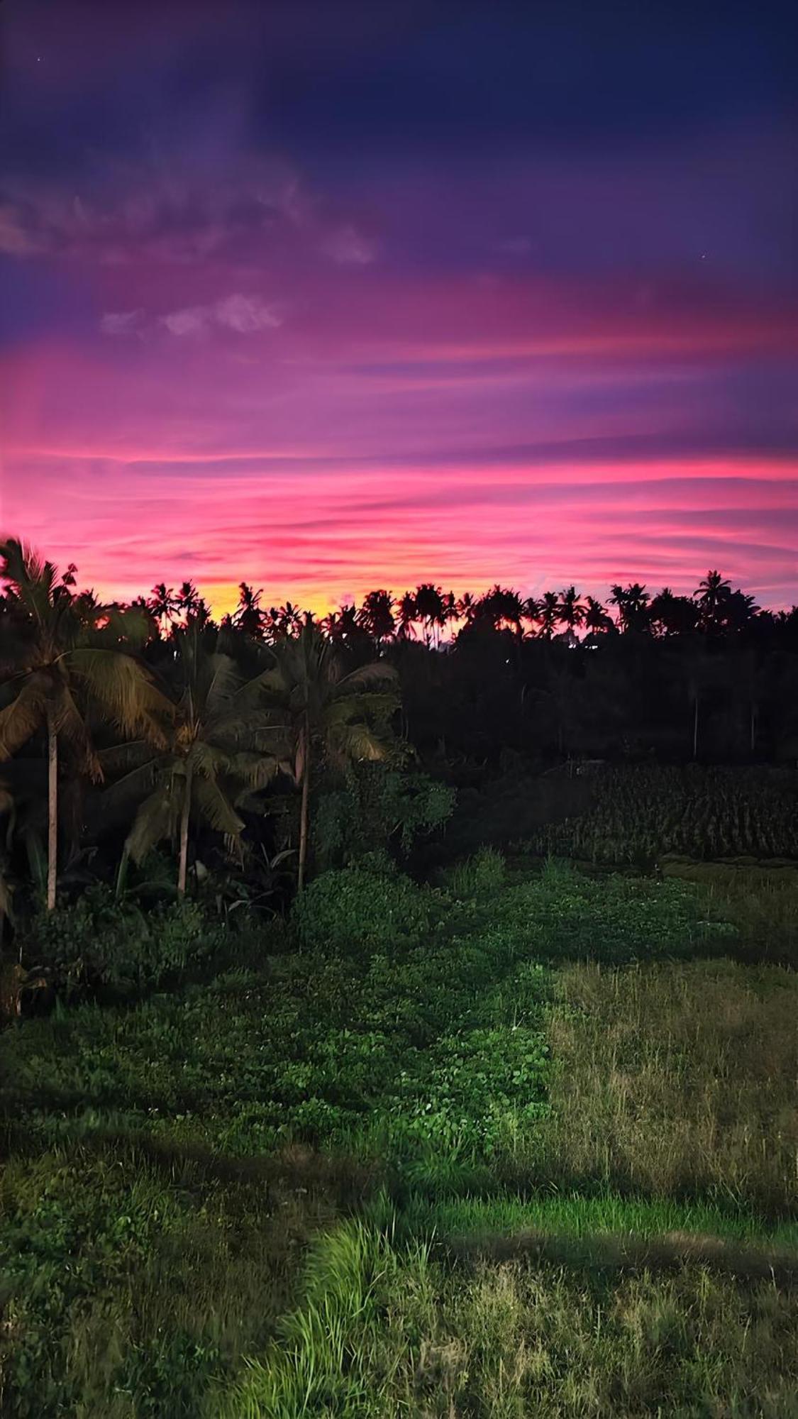 Wadari Retreat Villa Ubud Buitenkant foto