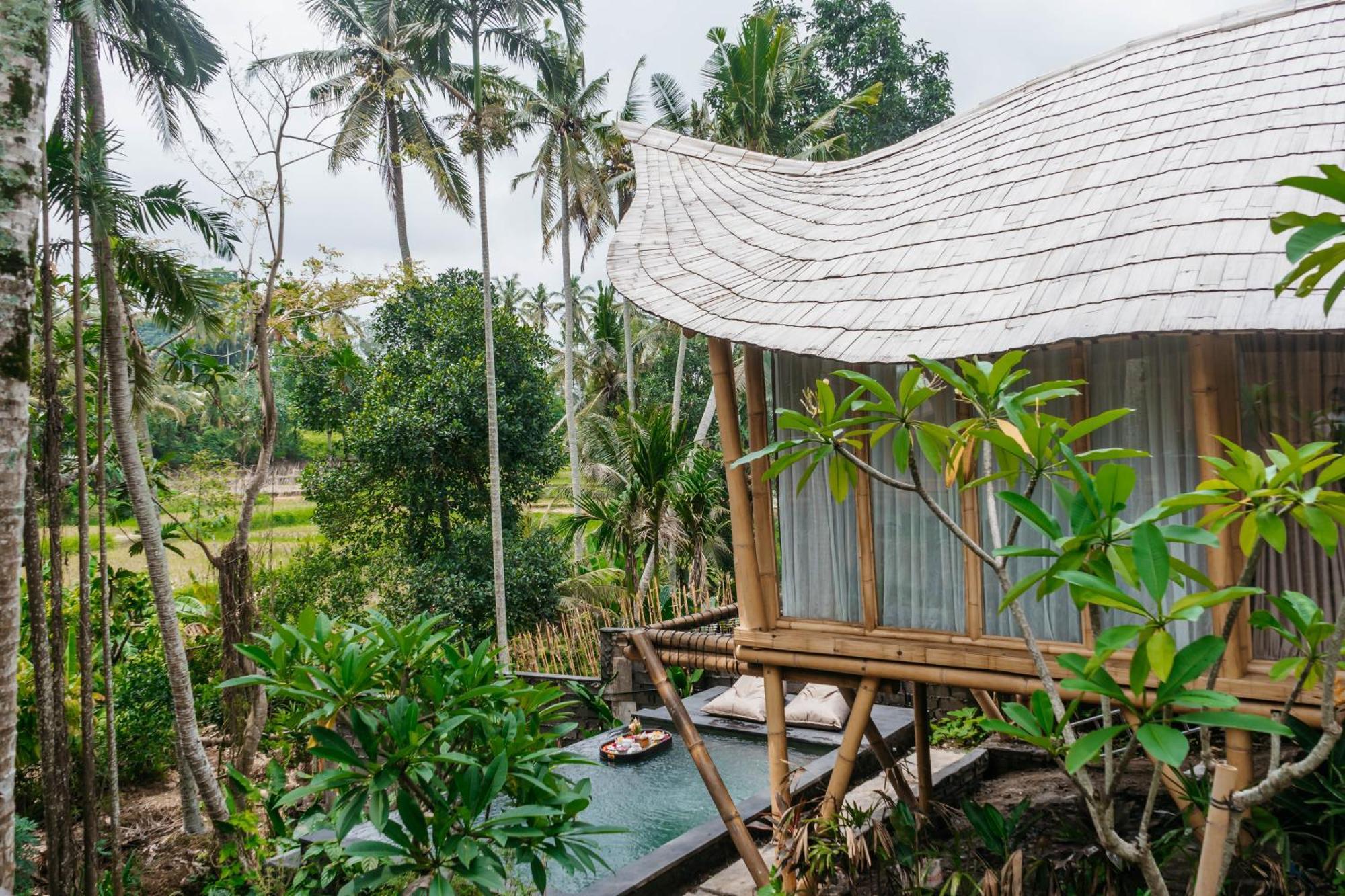 Wadari Retreat Villa Ubud Buitenkant foto